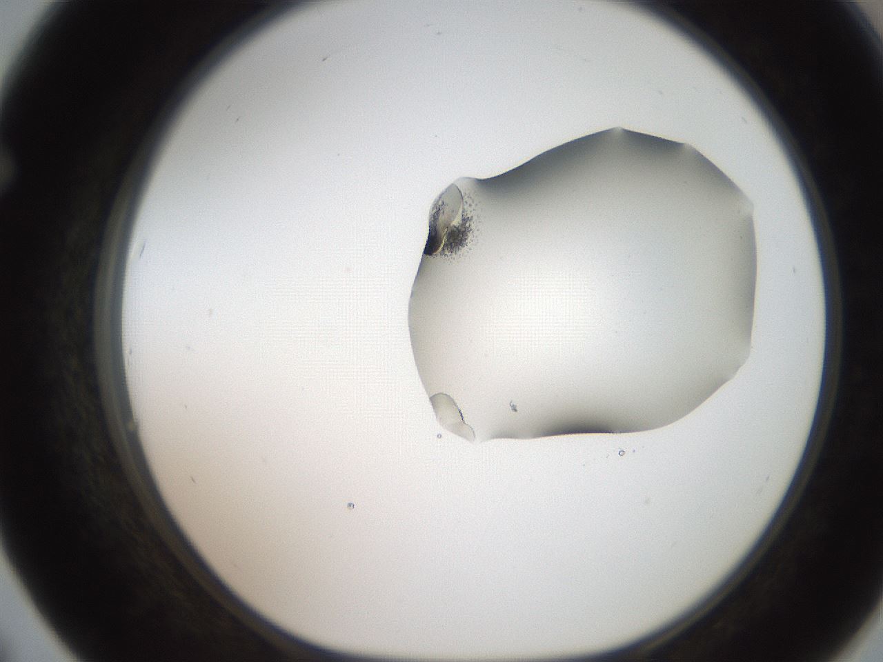 folderID269_plateID2269_batchID10706_wellNum67_profileID1_d1_r158410_ef.jpg