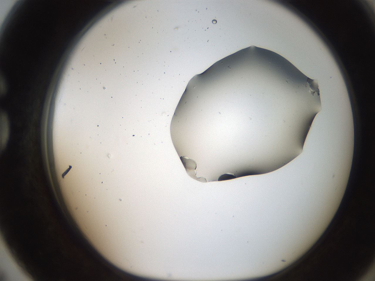 folderID269_plateID2269_batchID10706_wellNum79_profileID1_d1_r158422_ef.jpg