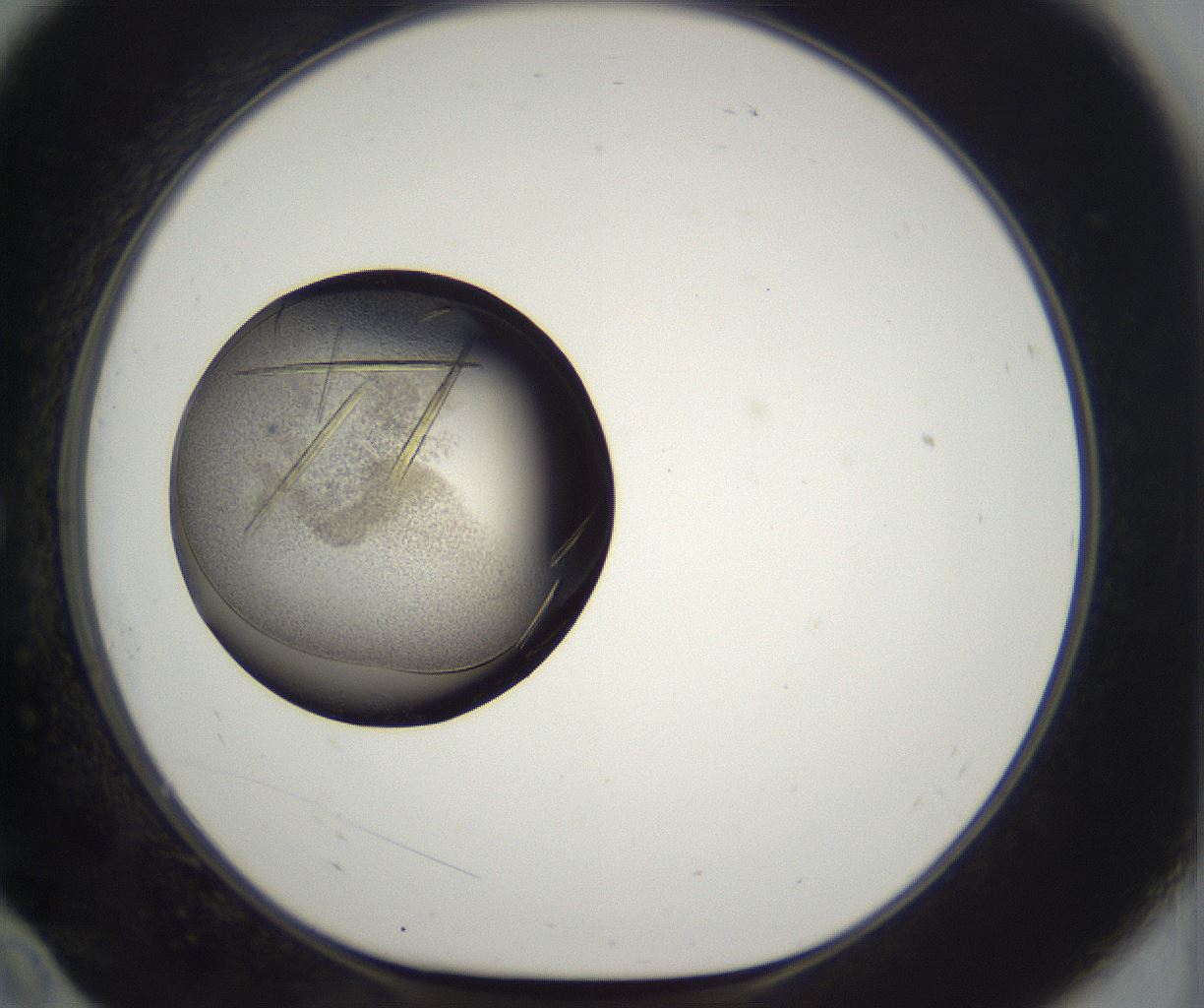 folderID282_plateID2282_batchID10837_wellNum10_profileID1_d1_r160183_ef.jpg