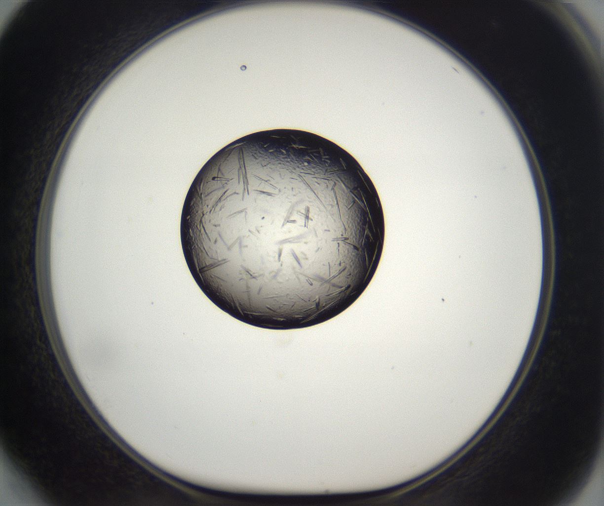 folderID290_plateID2290_batchID10843_wellNum64_profileID1_d1_r160717_ef.jpg