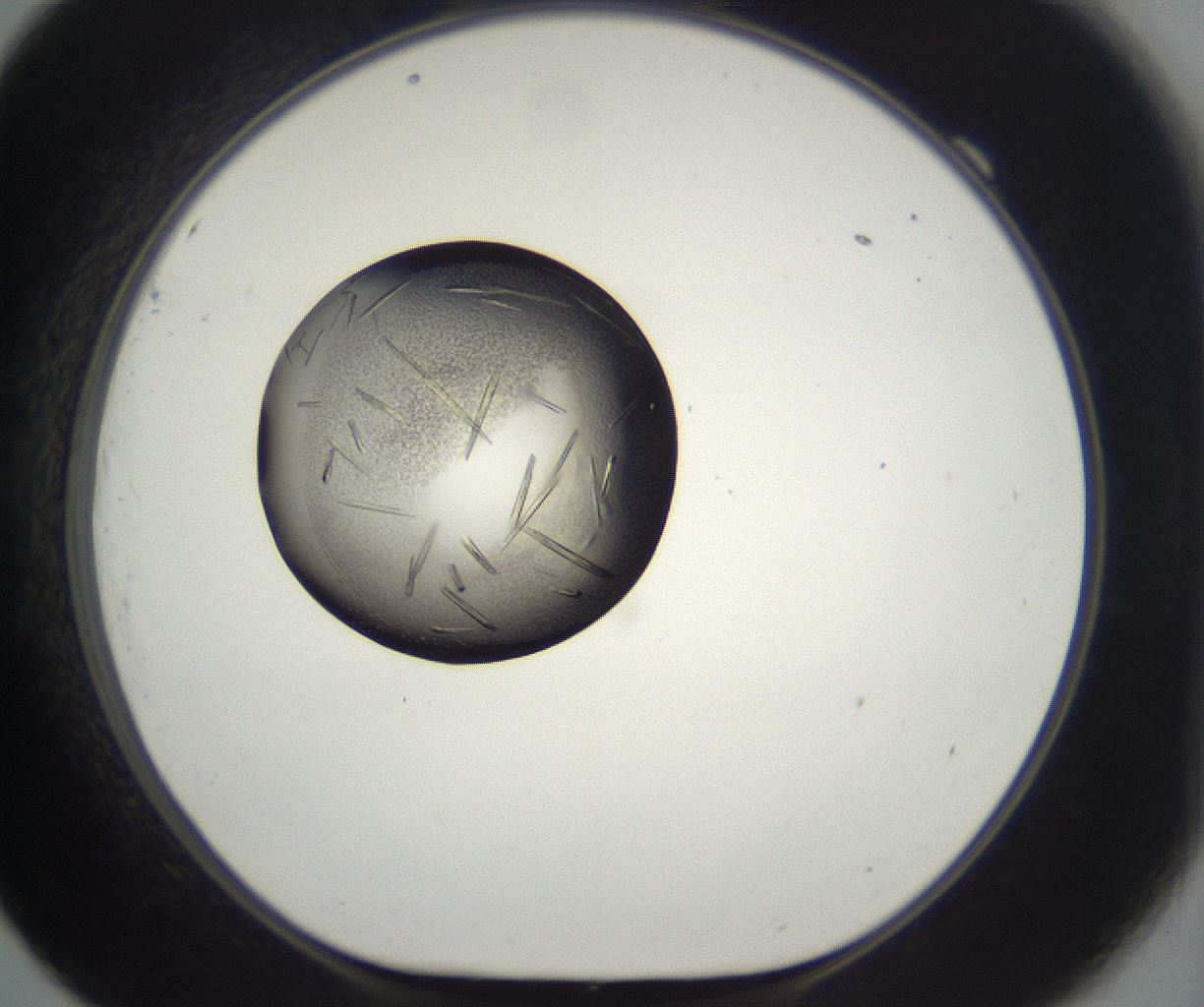 folderID290_plateID2290_batchID10843_wellNum69_profileID1_d1_r160722_ef.jpg