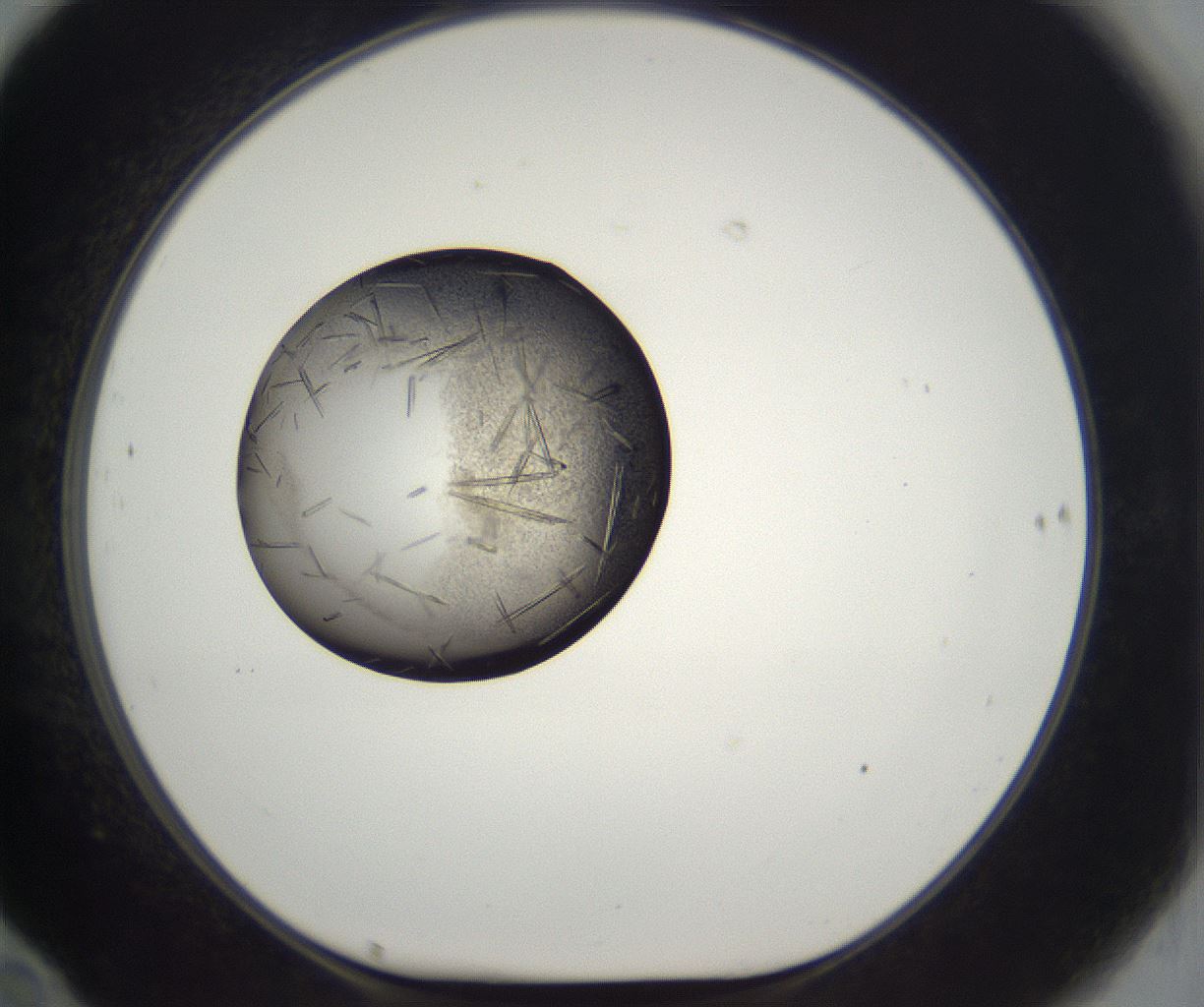 folderID290_plateID2290_batchID10843_wellNum70_profileID1_d1_r160723_ef.jpg