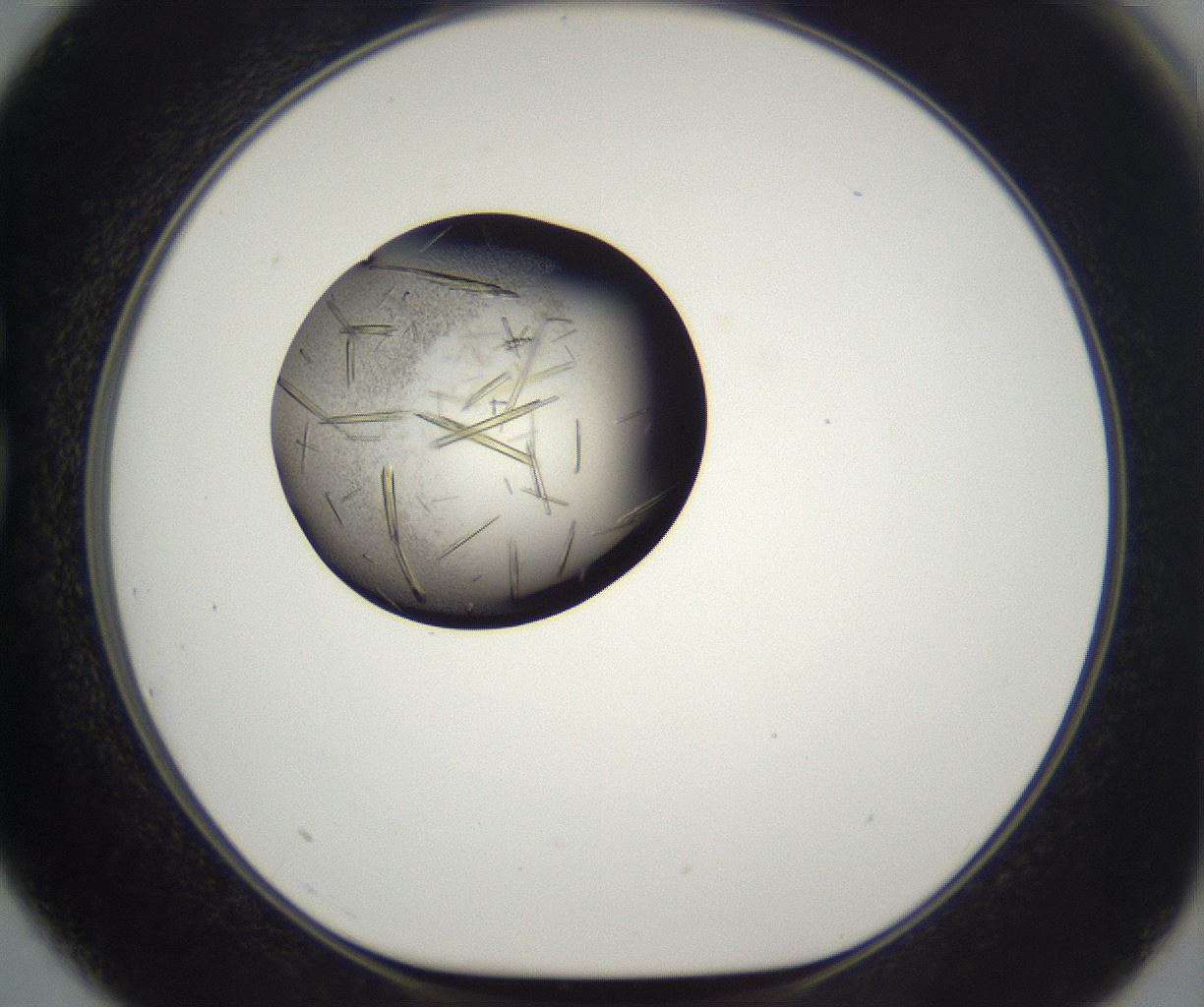 folderID290_plateID2290_batchID10843_wellNum75_profileID1_d1_r160728_ef.jpg