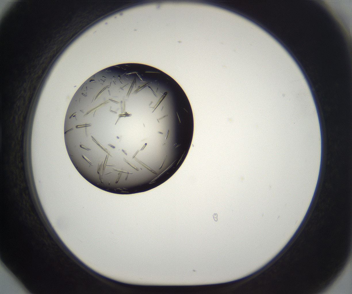 folderID290_plateID2290_batchID10843_wellNum78_profileID1_d1_r160731_ef.jpg