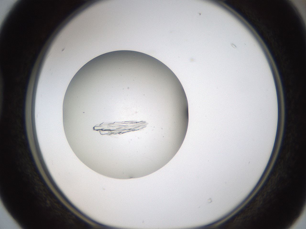 folderID319_plateID1319_batchID4362_wellNum40_profileID1_d1_r79007_ef.jpg
