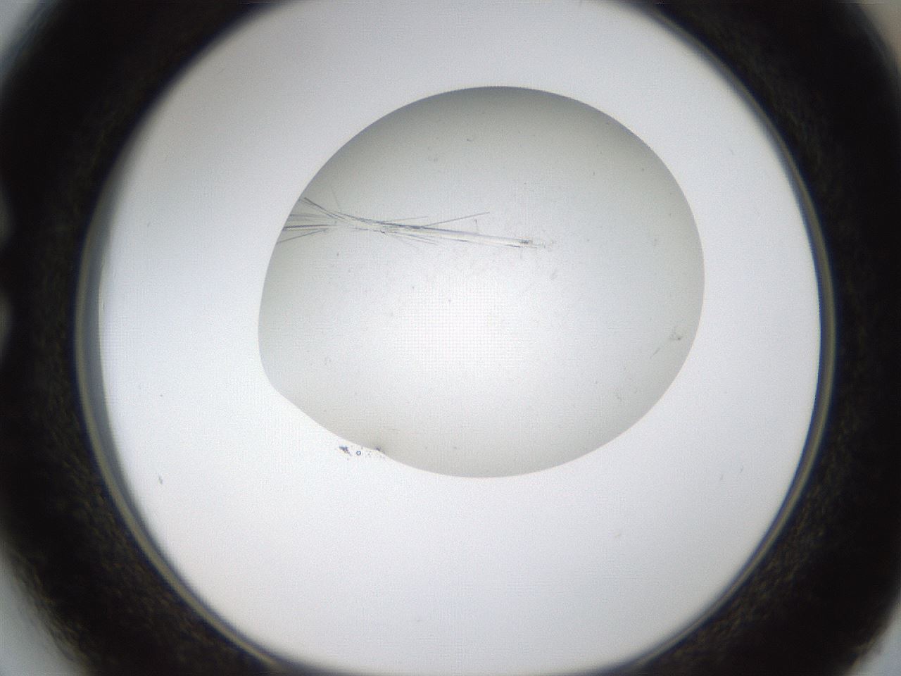 folderID320_plateID1320_batchID4375_wellNum27_profileID1_d1_r79186_ef.jpg