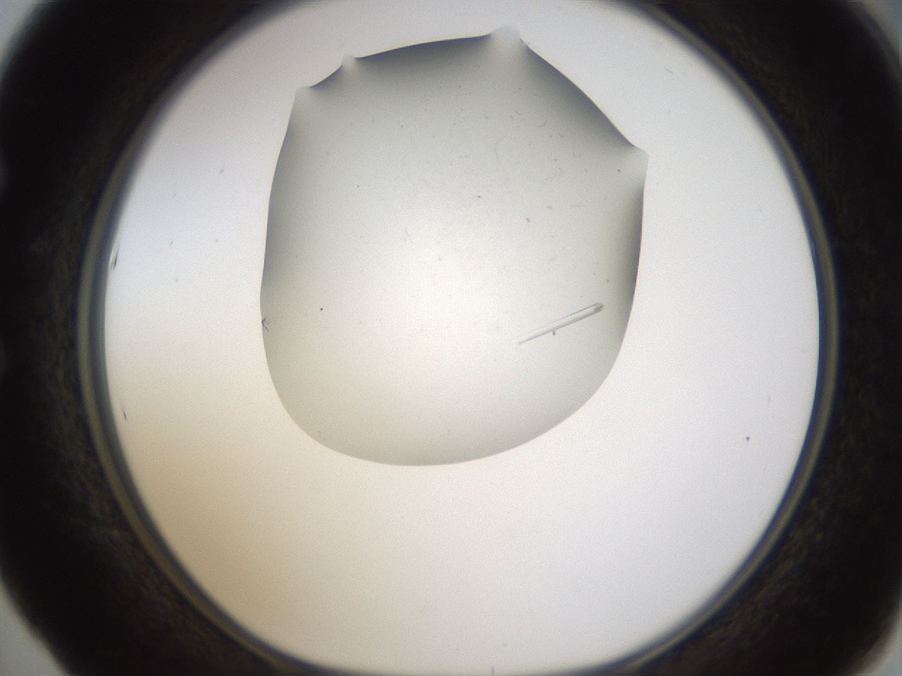 folderID320_plateID1320_batchID4375_wellNum53_profileID1_d1_r79212_ef.jpg