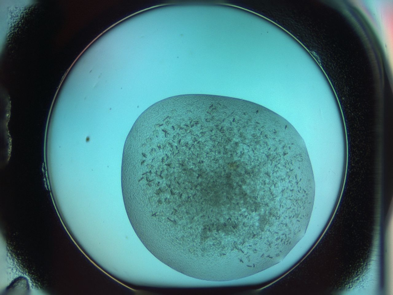 03cm_B11_ImagerDefaults_6.jpg