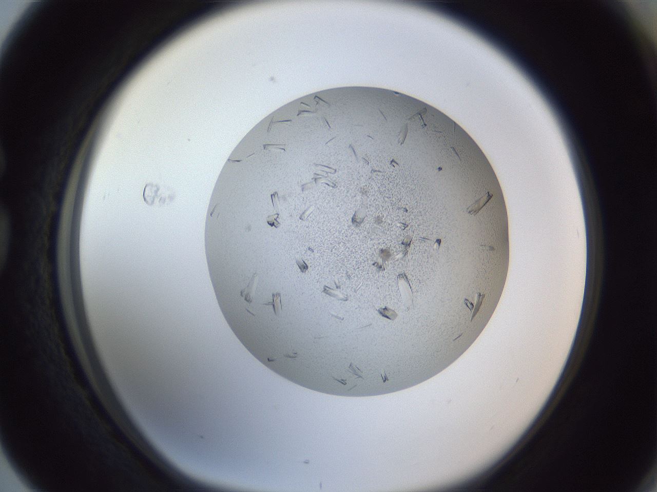 folderID325_plateID1325_batchID4504_wellNum76_profileID1_d1_r79571_ef.jpg