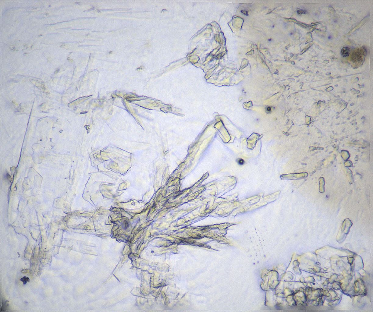 folderID358_plateID2358_batchID11080_wellNum61_profileID1_d1_r168091_ef.jpg