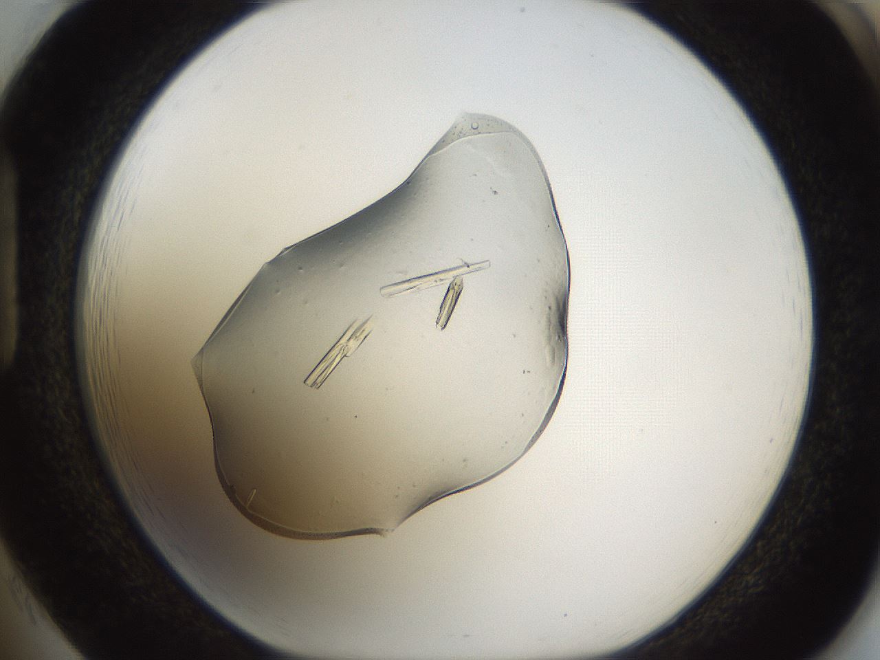 folderID367_plateID1367_batchID4732_wellNum85_profileID1_d1_r83128_ef.jpg