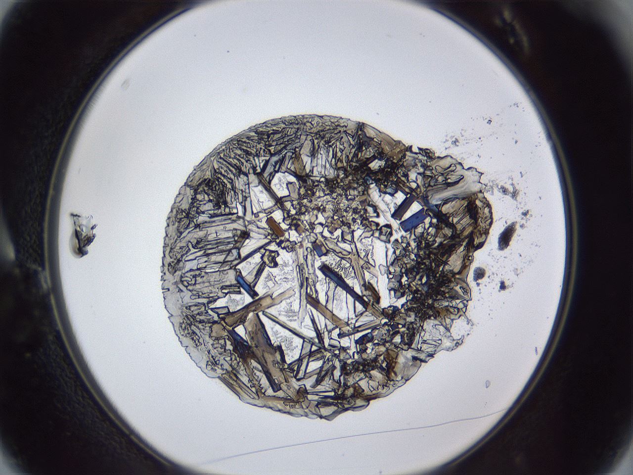folderID385_plateID1385_batchID4987_wellNum3_profileID1_d1_r84690_ef.jpg
