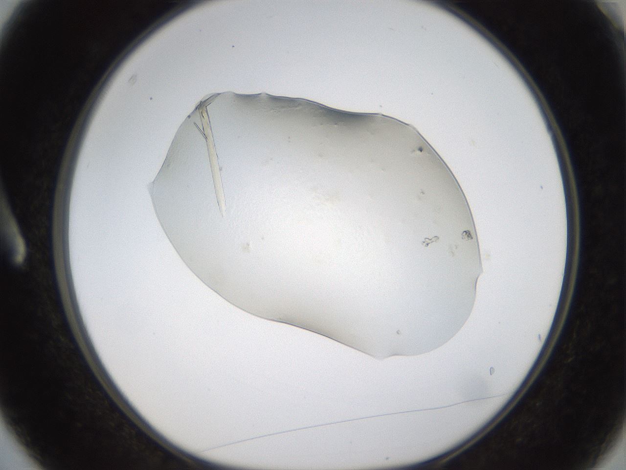 folderID389_plateID1389_batchID5012_wellNum3_profileID1_d1_r84884_ef.jpg