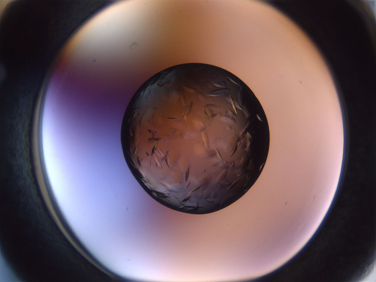 folderID470_plateID1470_batchID5612_wellNum63_profileID1_d1_r93089_ef.jpg