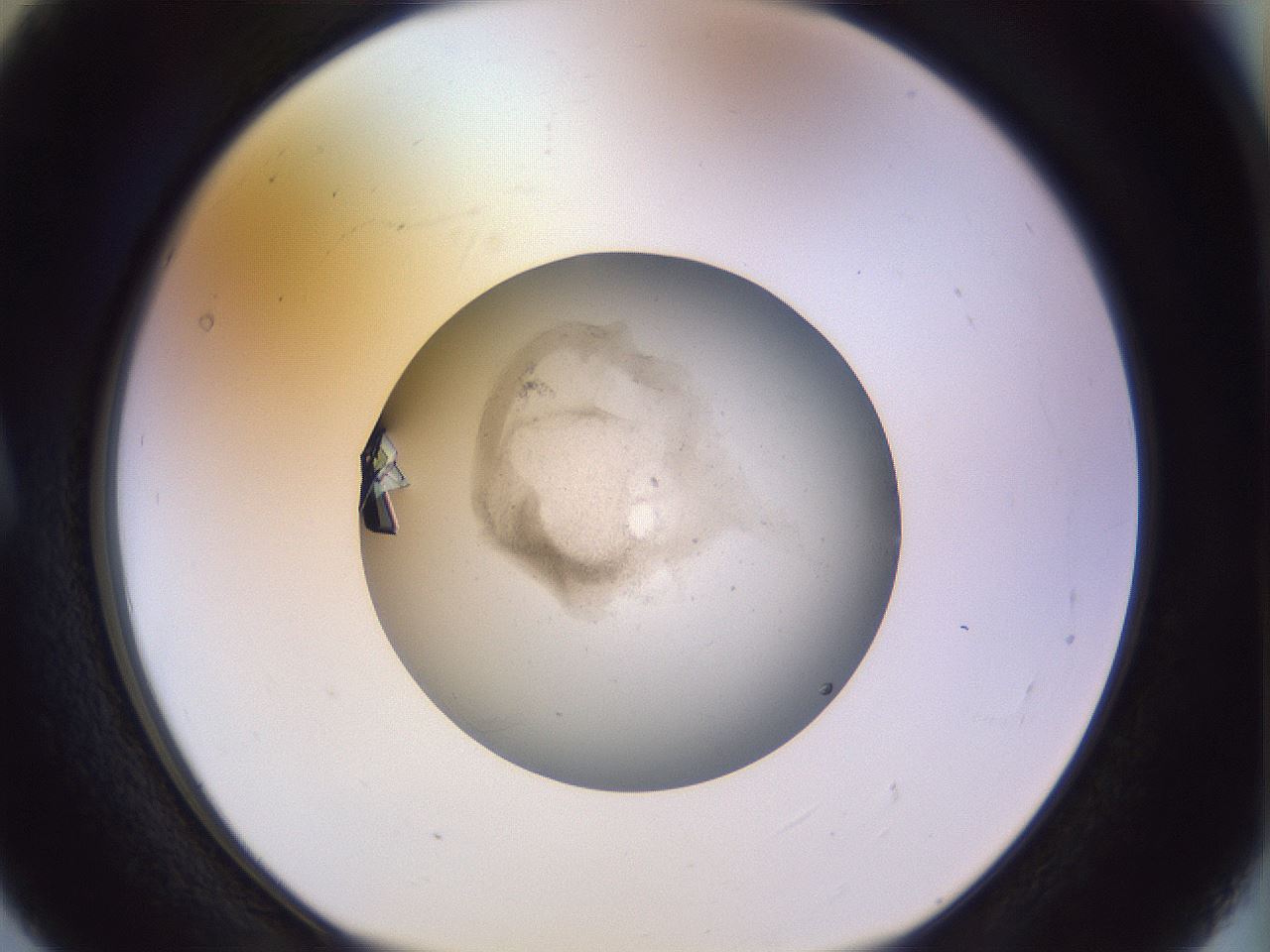 folderID503_plateID1503_batchID5938_wellNum5_profileID1_d1_r95445_ef.jpg