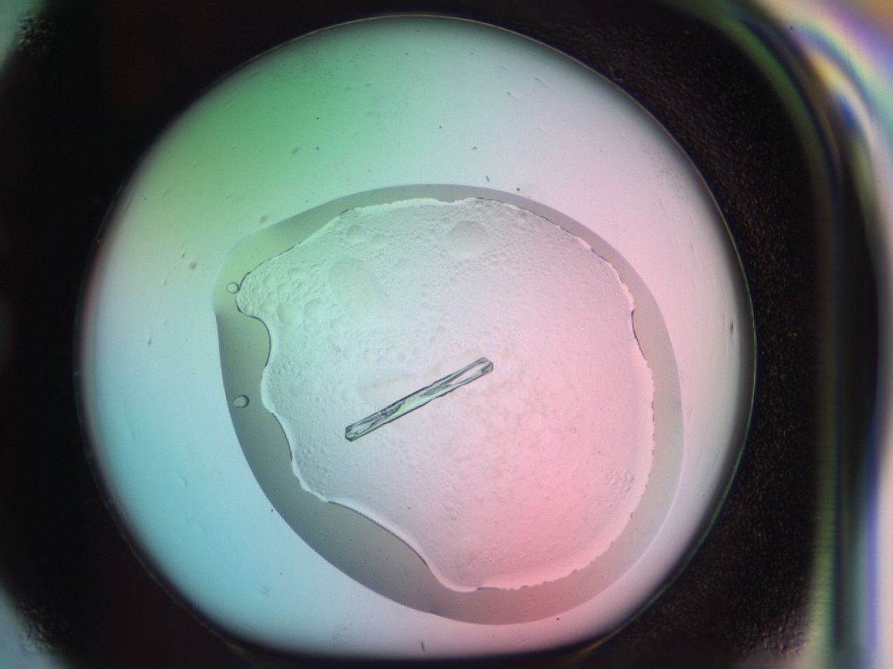03cm_G8_ImagerDefaults_9.jpg