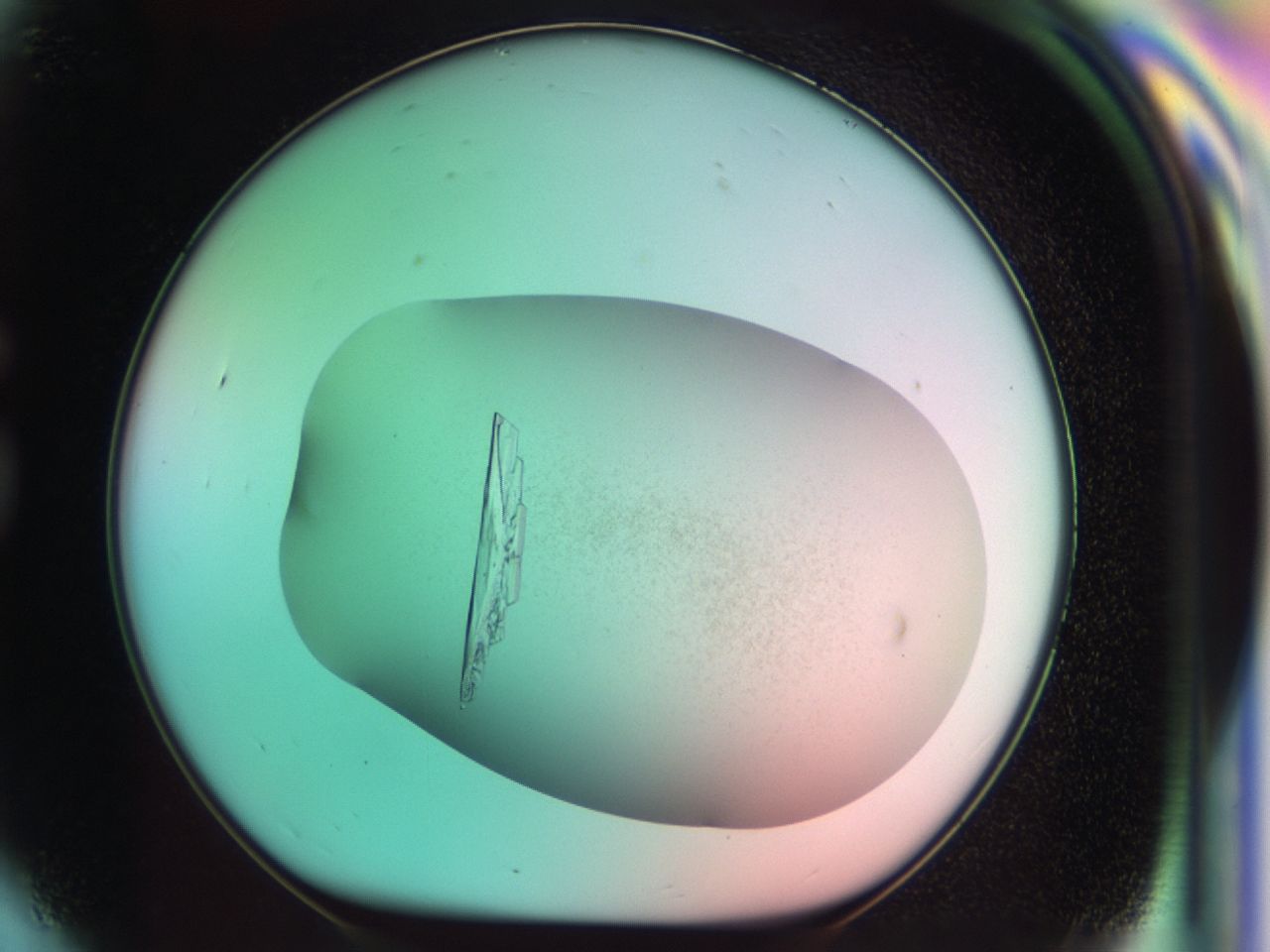 03cm_G9_ImagerDefaults_9.jpg