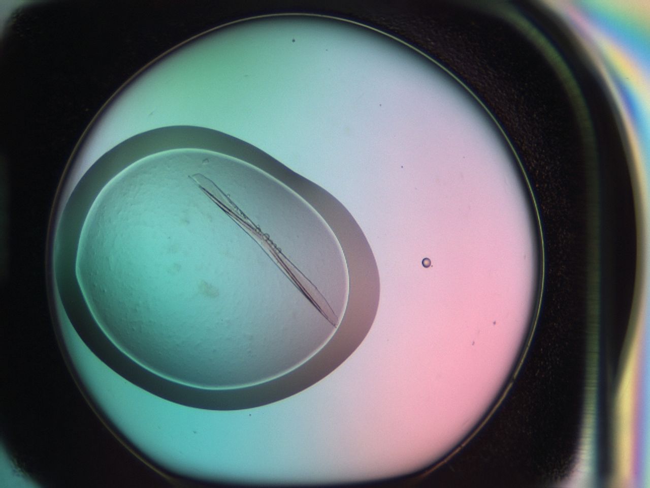03cm_H6_ImagerDefaults_8.jpg
