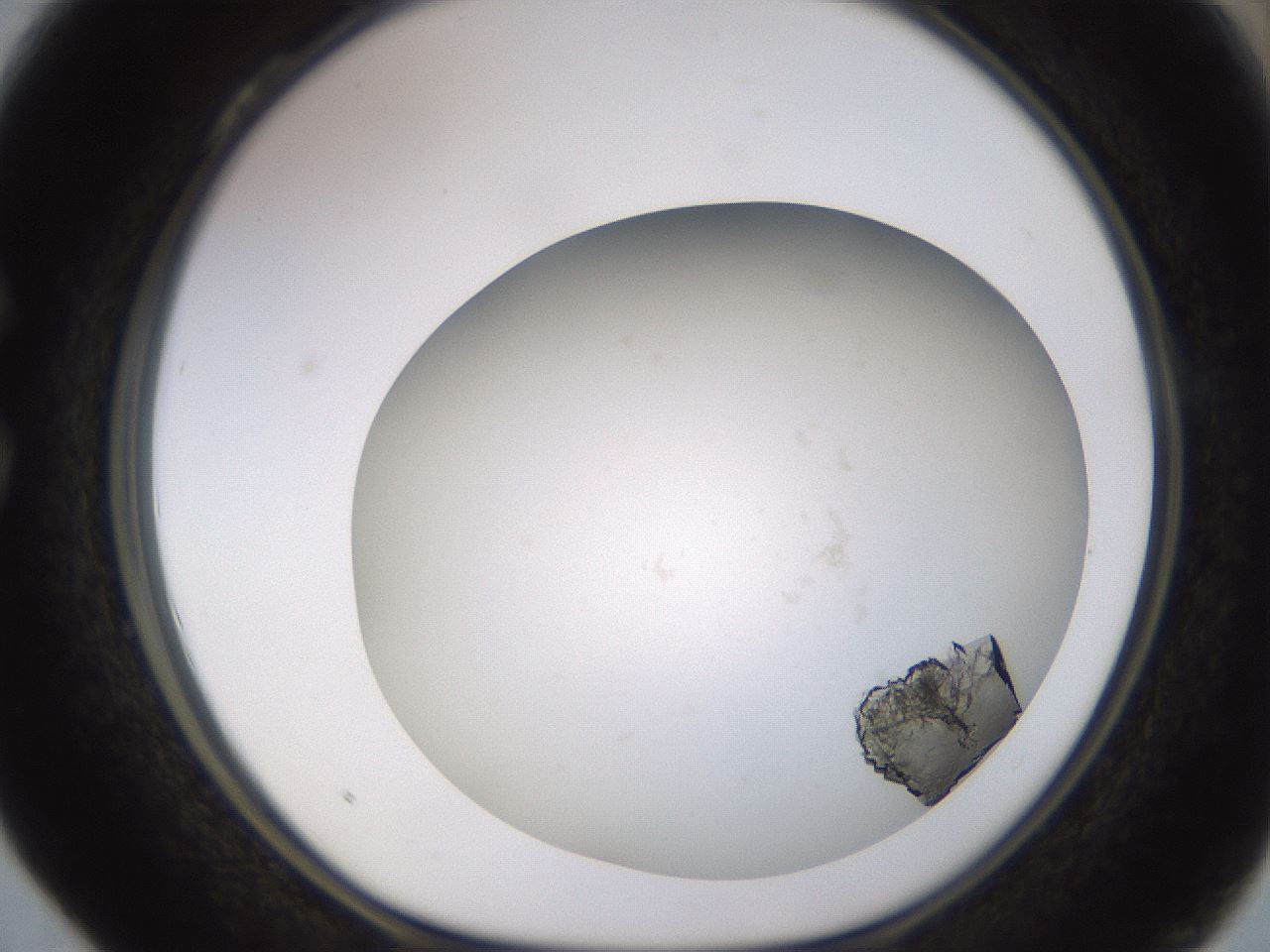 folderID570_plateID1570_batchID6358_wellNum28_profileID1_d1_r102666_ef.jpg