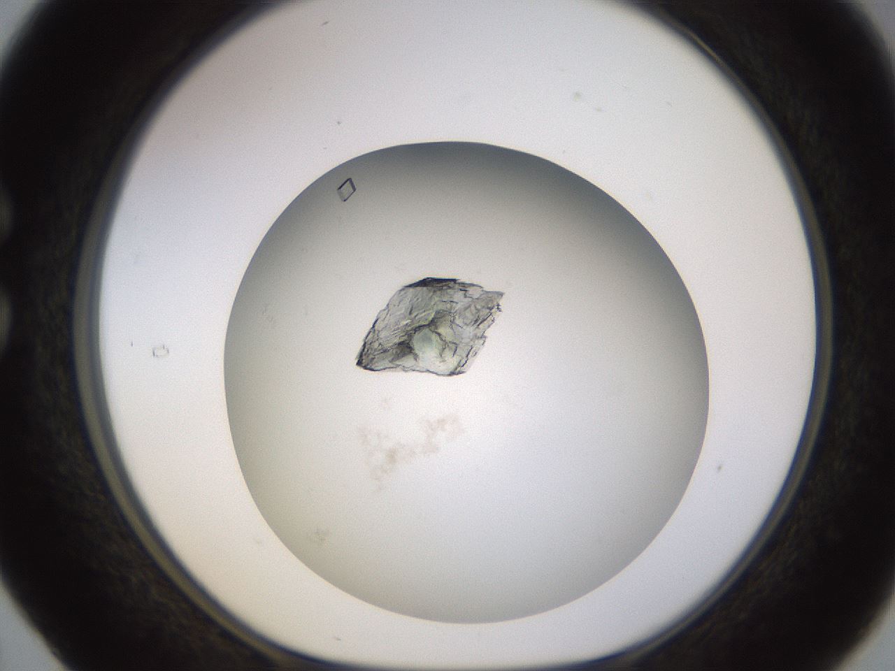 folderID570_plateID1570_batchID6358_wellNum29_profileID1_d1_r102667_ef.jpg