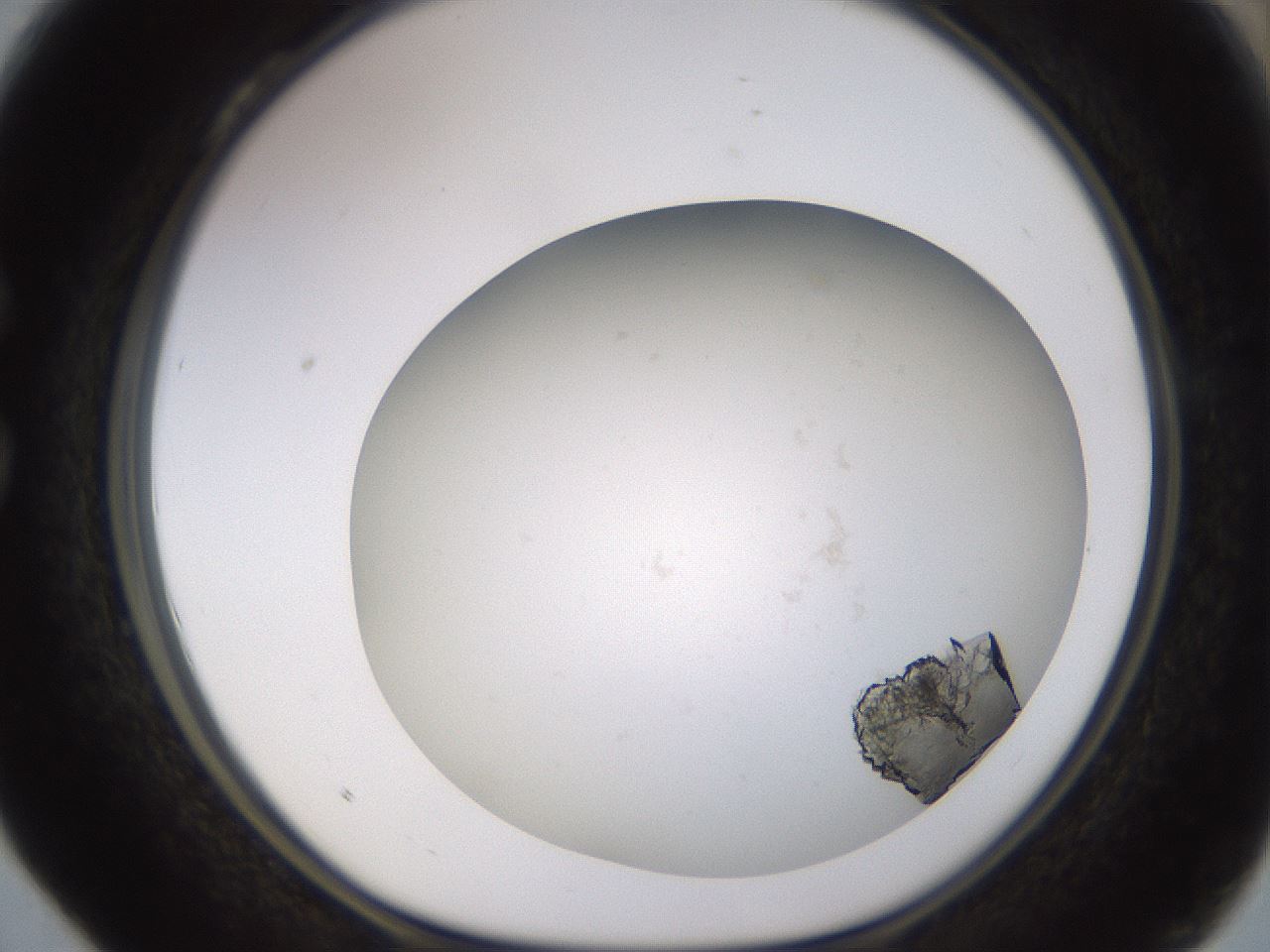 folderID570_plateID1570_batchID6367_wellNum28_profileID1_d1_r102666_ef.jpg