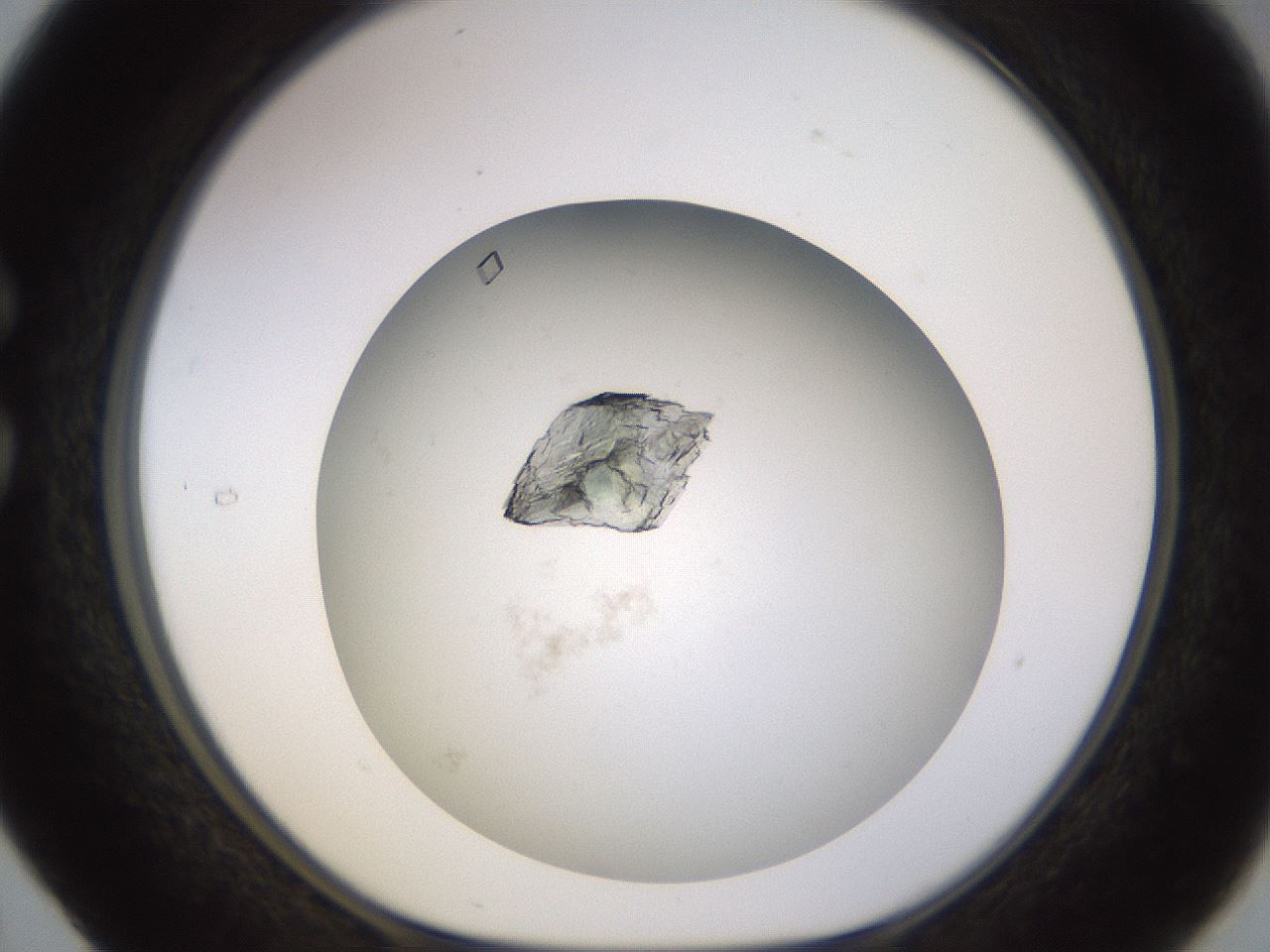 folderID570_plateID1570_batchID6367_wellNum29_profileID1_d1_r102667_ef.jpg