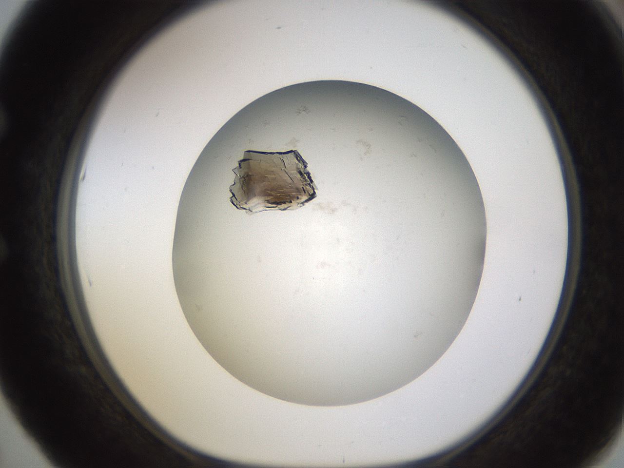 folderID581_plateID1581_batchID6460_wellNum53_profileID1_d1_r103799_ef.jpg