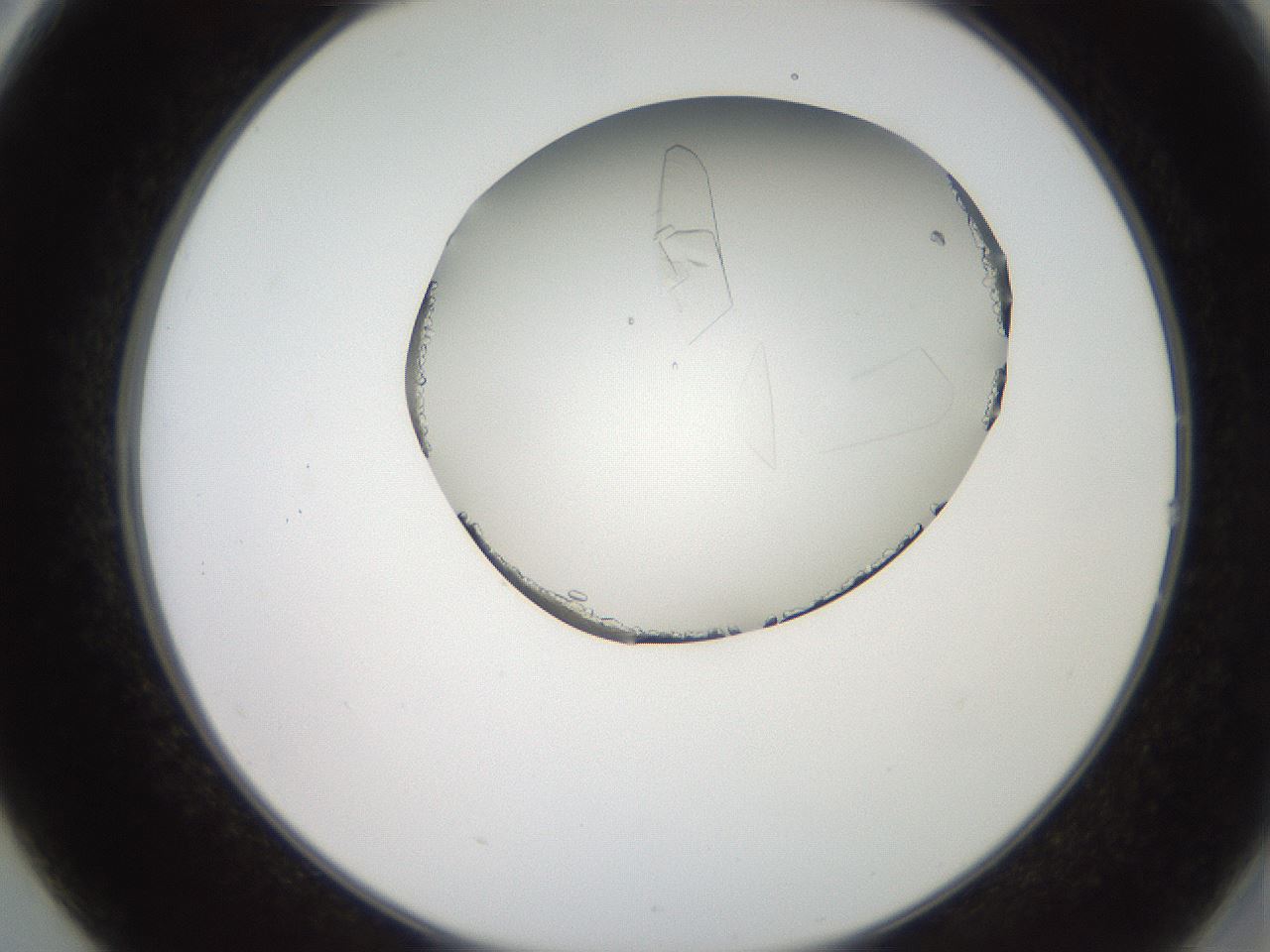 folderID205_plateID2205_batchID10007_wellNum14_profileID1_d2_r149970_ef.jpg