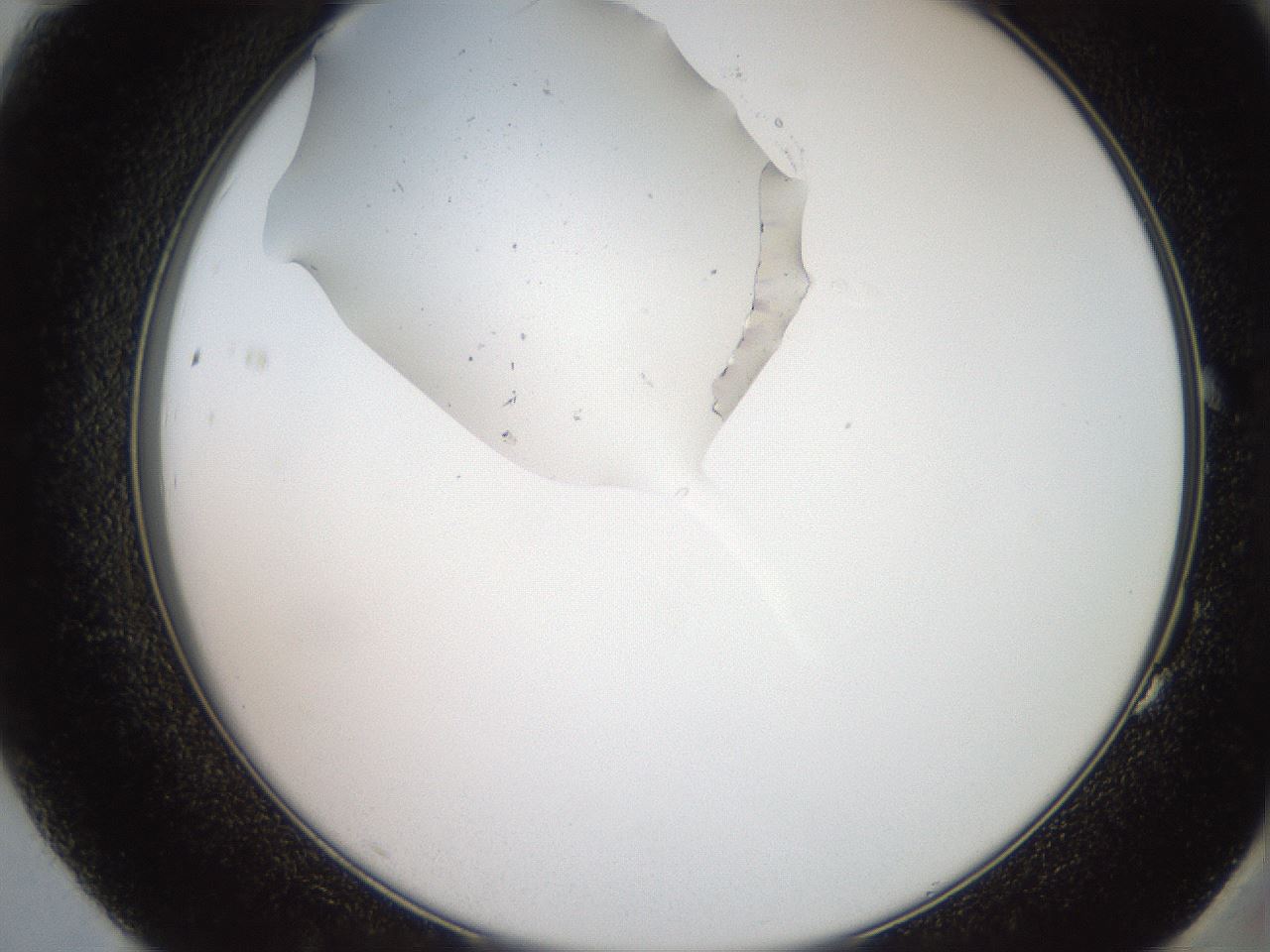 folderID205_plateID2205_batchID10007_wellNum83_profileID1_d2_r150108_ef.jpg