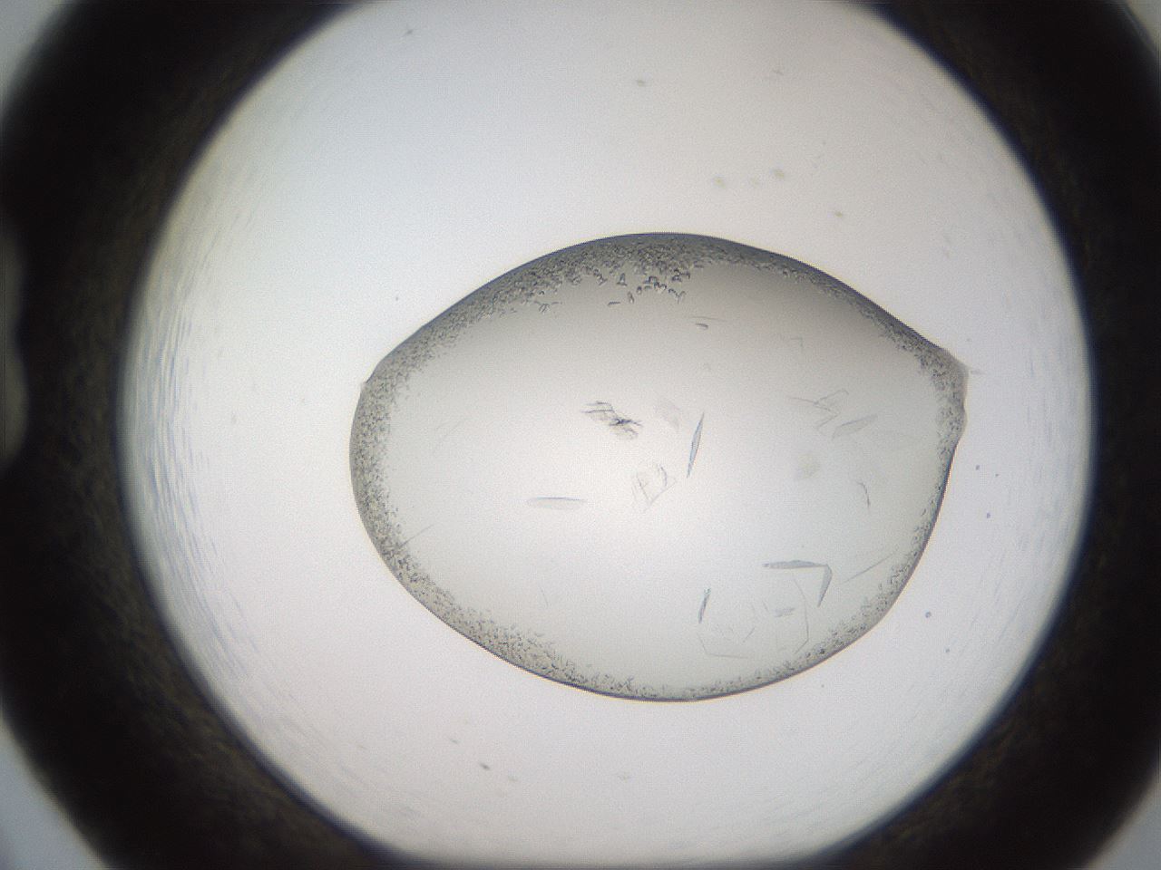 folderID206_plateID2206_batchID9998_wellNum20_profileID1_d1_r149789_ef.jpg
