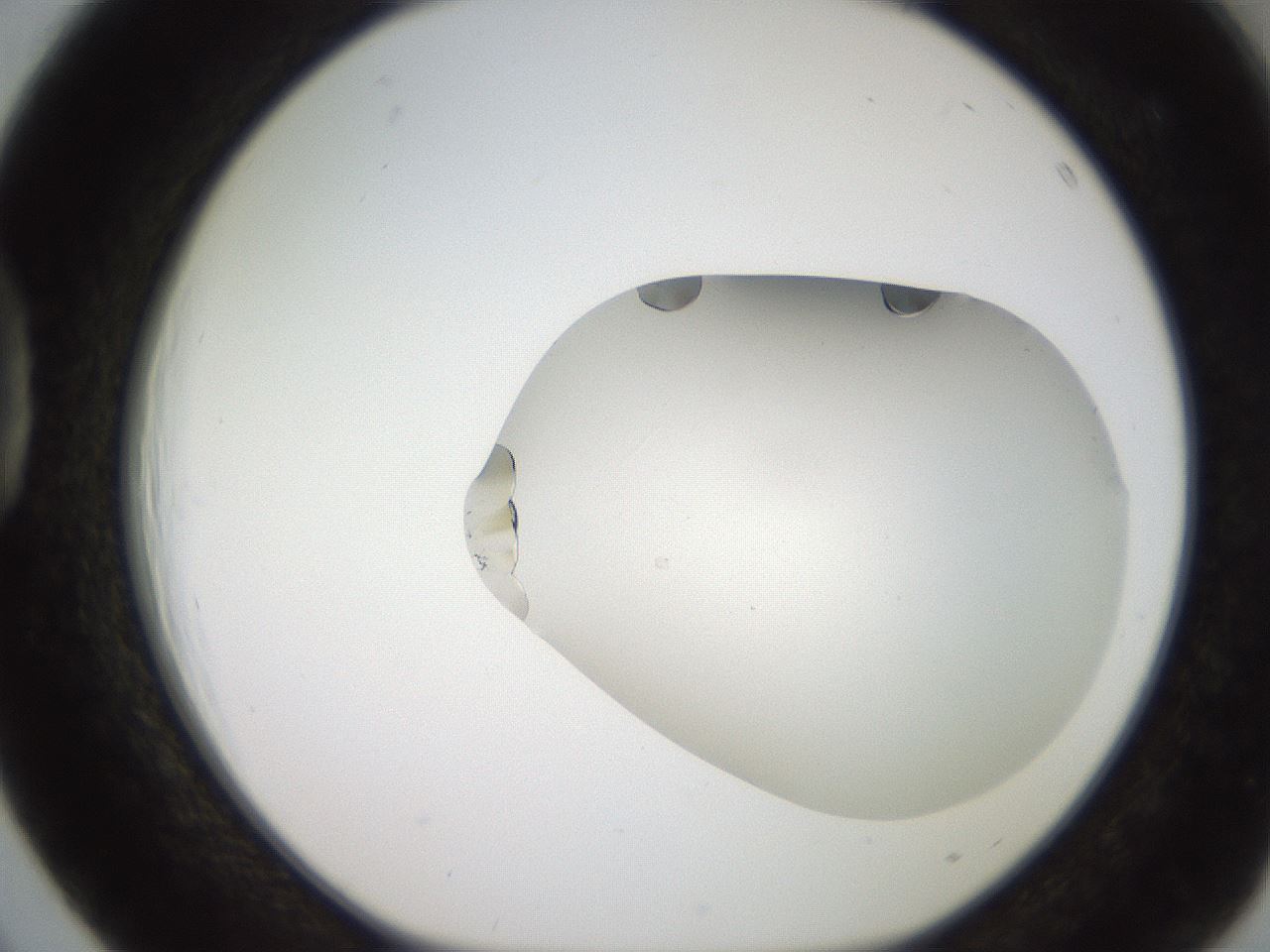 folderID206_plateID2206_batchID9998_wellNum39_profileID1_d1_r149827_ef.jpg