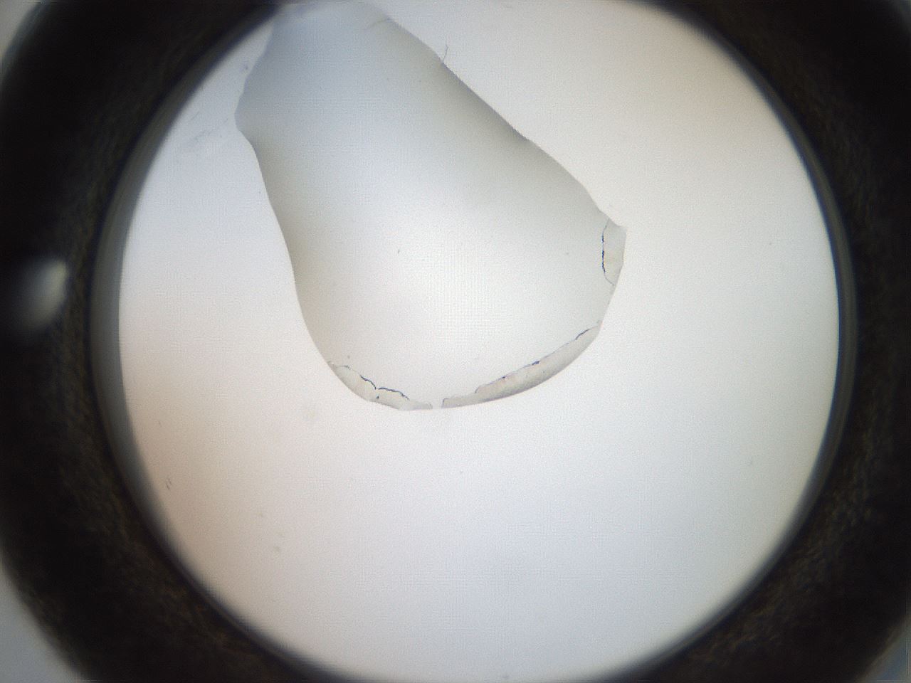 folderID205_plateID2205_batchID10007_wellNum80_profileID1_d2_r150102_ef.jpg