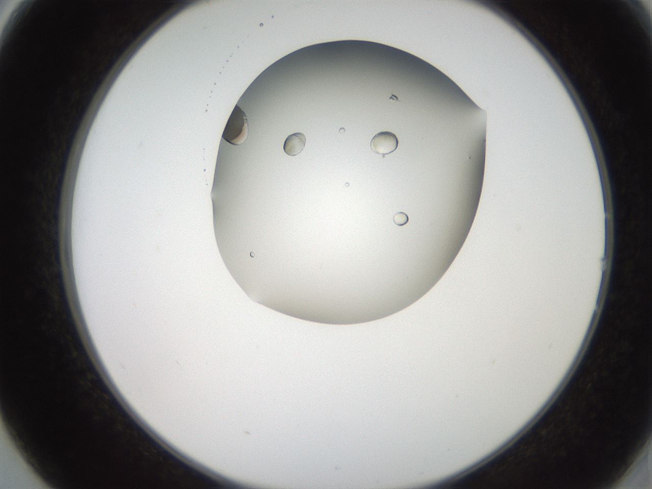 folderID207_plateID2207_batchID10014_wellNum14_profileID1_d2_r150162_ef.jpg