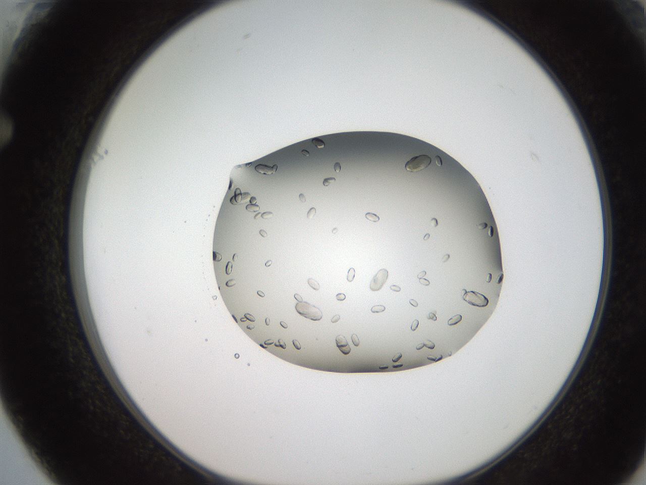 folderID207_plateID2207_batchID10014_wellNum61_profileID1_d1_r150255_ef.jpg
