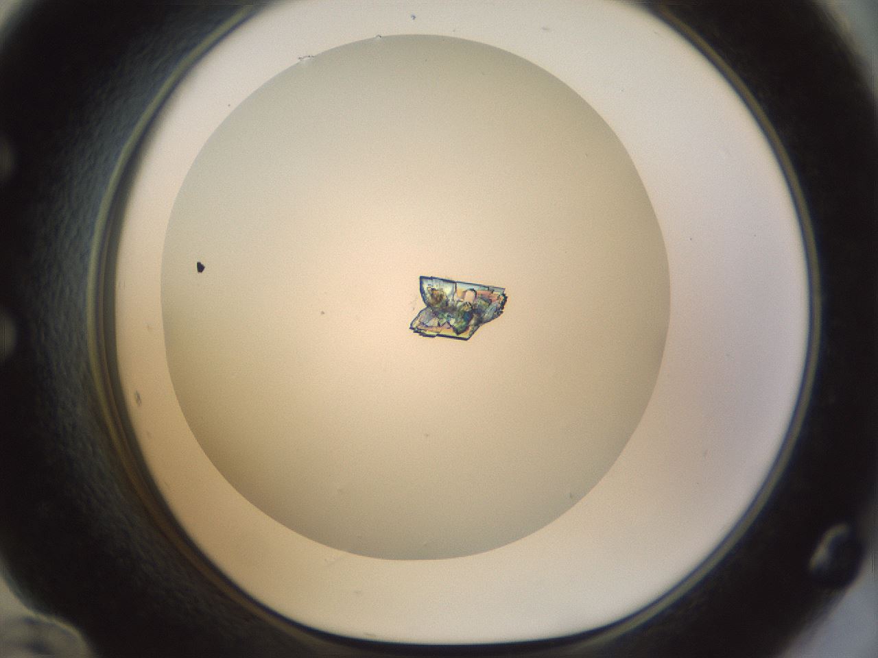 folderID208_plateID1208_batchID3624_wellNum60_profileID1_d1_r68694_ef.jpg