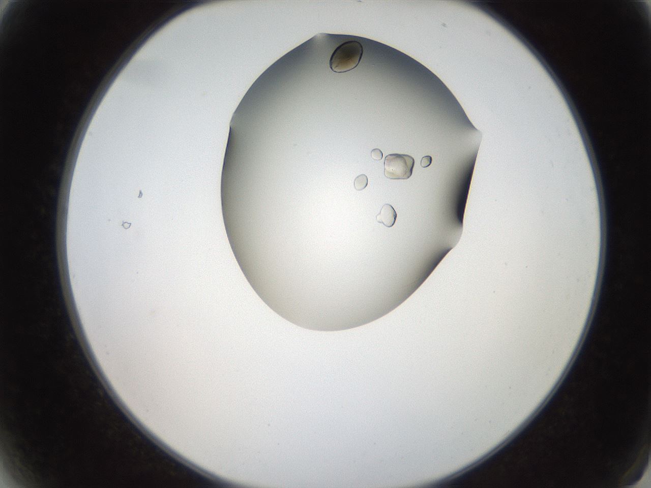 folderID207_plateID2207_batchID10014_wellNum2_profileID1_d2_r150138_ef.jpg