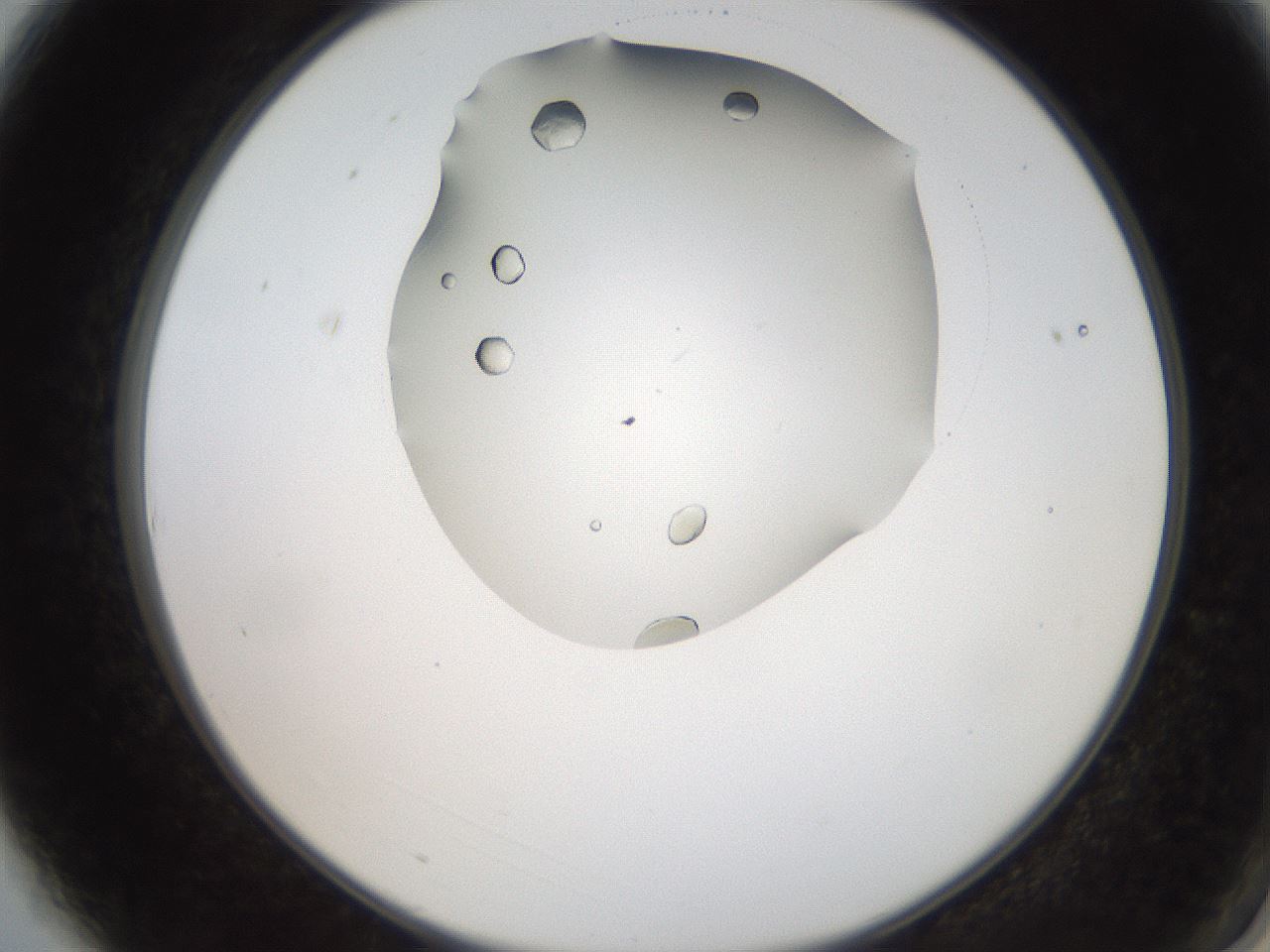 folderID207_plateID2207_batchID10014_wellNum3_profileID1_d2_r150140_ef.jpg