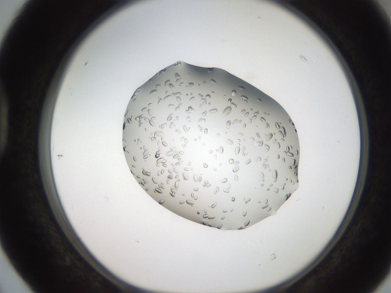 folderID207_plateID2207_batchID10014_wellNum40_profileID1_d1_r150213_ef.jpg