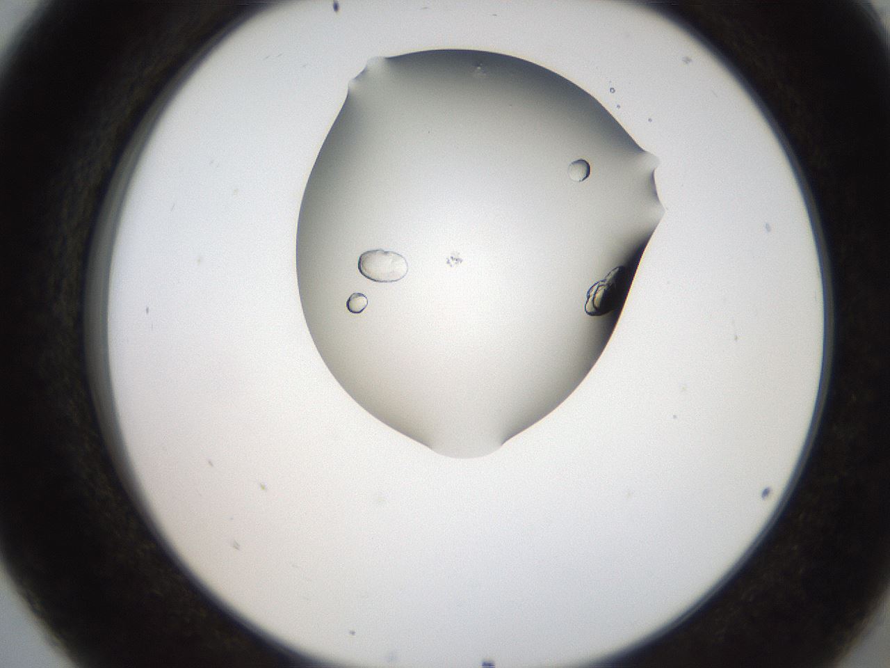 folderID207_plateID2207_batchID10014_wellNum5_profileID1_d2_r150144_ef.jpg
