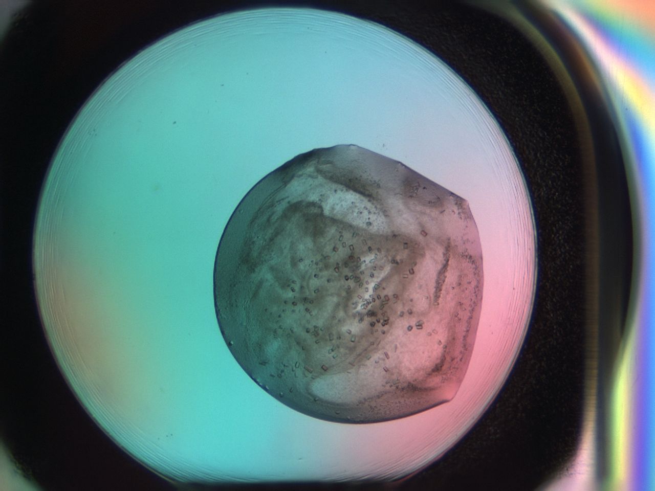 03co_H1_ImagerDefaults_6.jpg