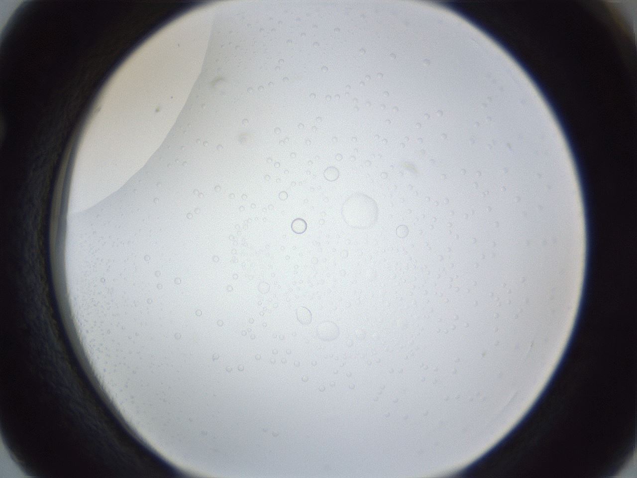 folderID166_plateID1166_batchID3122_wellNum63_profileID1_d1_r61403_ef.jpg