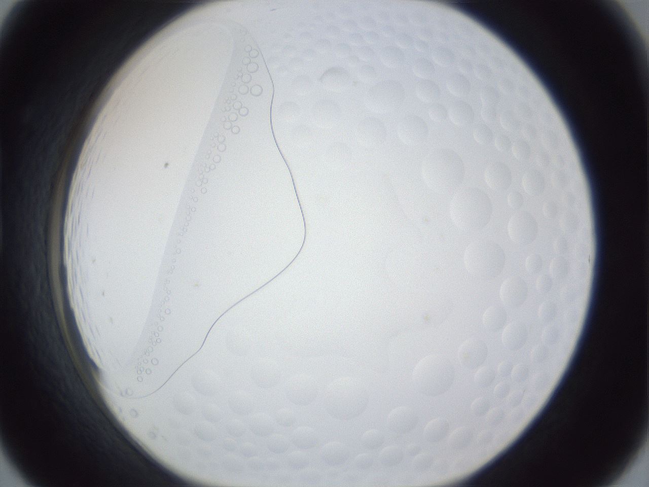 folderID167_plateID1167_batchID3123_wellNum19_profileID1_d1_r61507_ef.jpg