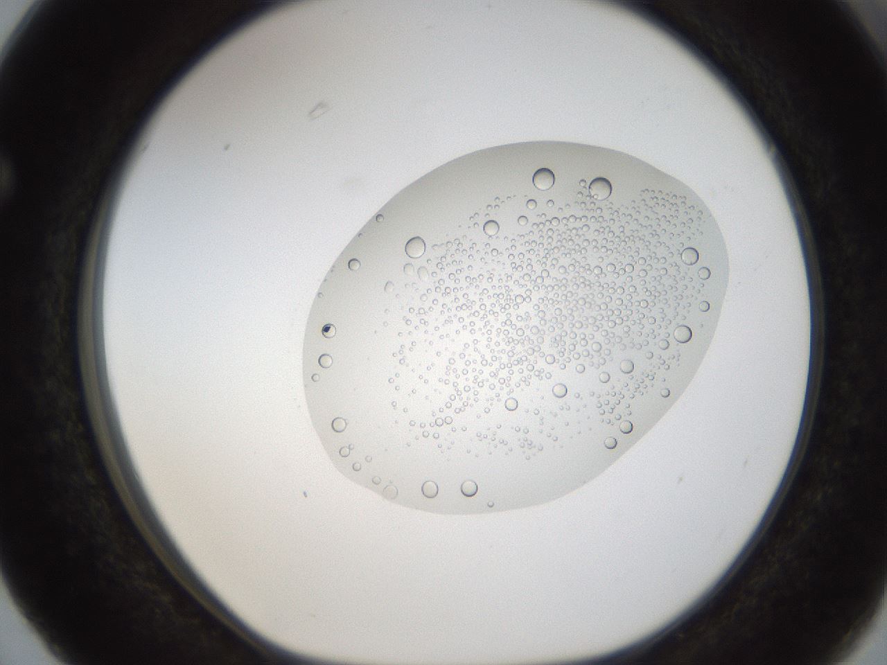 folderID16_plateID1016_batchID1885_wellNum63_profileID1_d1_r42946_ef.jpg