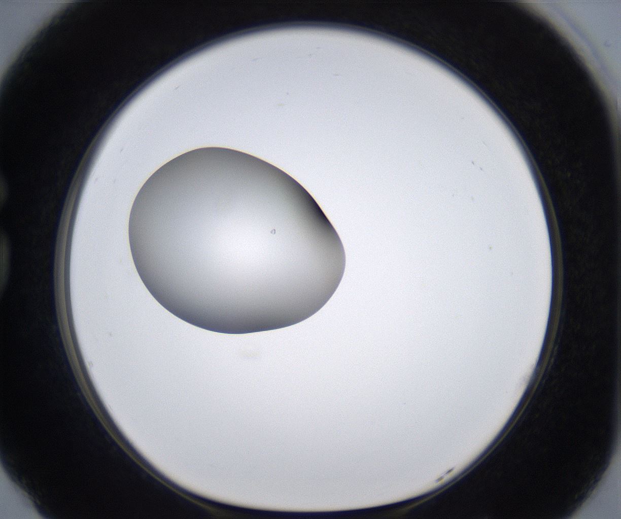 folderID305_plateID2305_batchID10850_wellNum77_profileID1_d1_r161306_ef.jpg