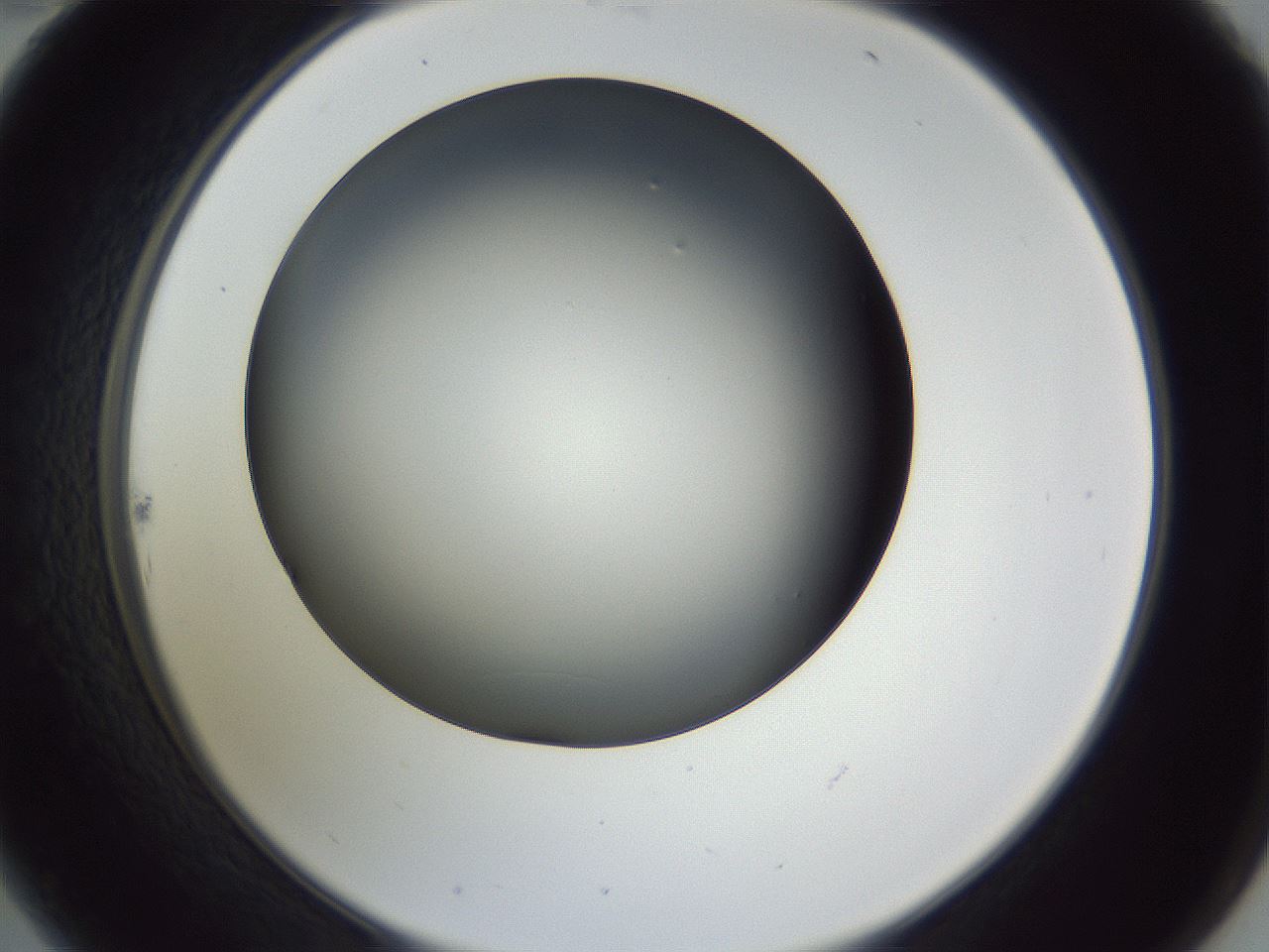 folderID345_plateID1345_batchID4696_wellNum22_profileID1_d2_r80979_ef.jpg