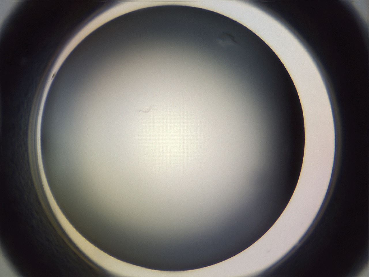 folderID351_plateID1351_batchID4706_wellNum44_profileID1_d1_r81559_ef.jpg