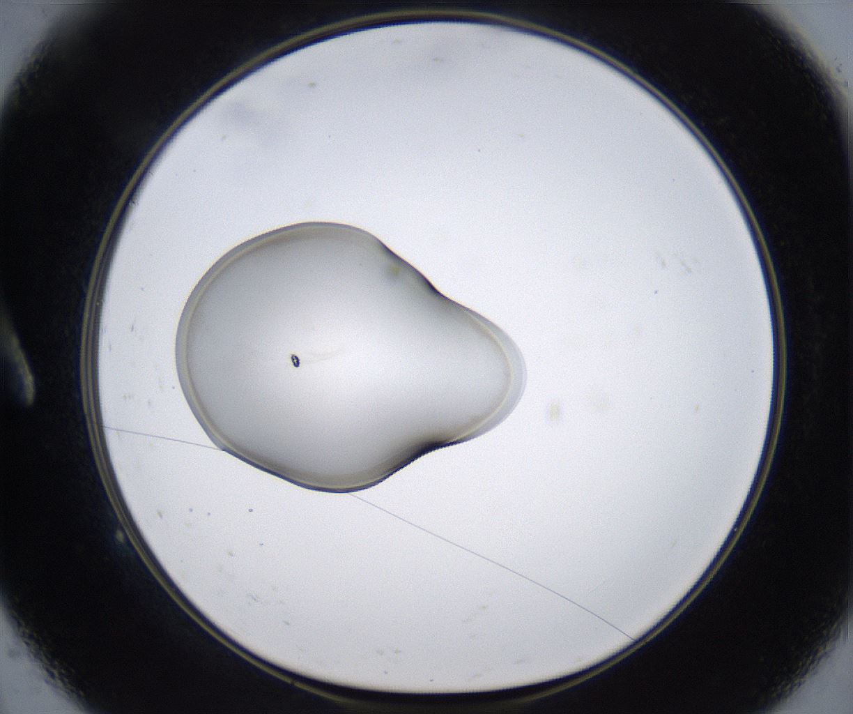 folderID353_plateID2353_batchID11075_wellNum9_profileID1_d1_r166547_ef.jpg