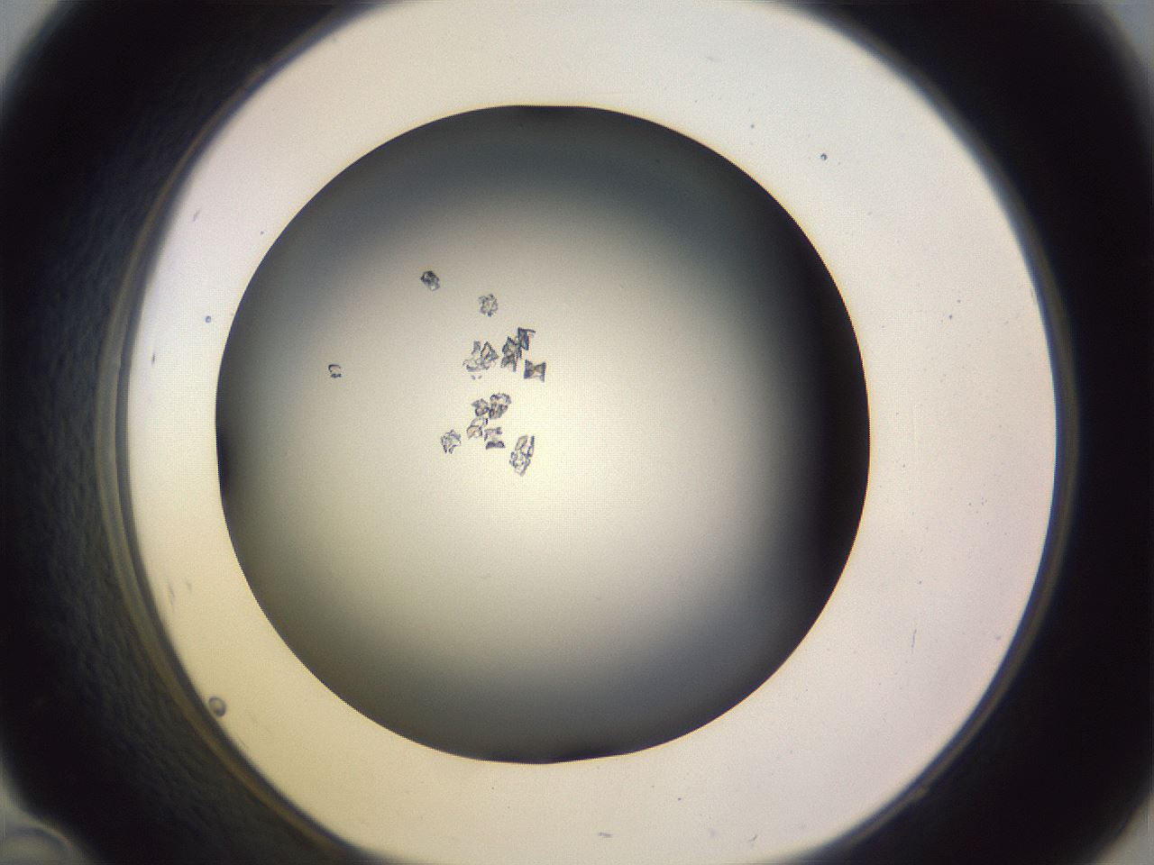 folderID359_plateID1359_batchID4716_wellNum46_profileID1_d1_r82137_ef.jpg