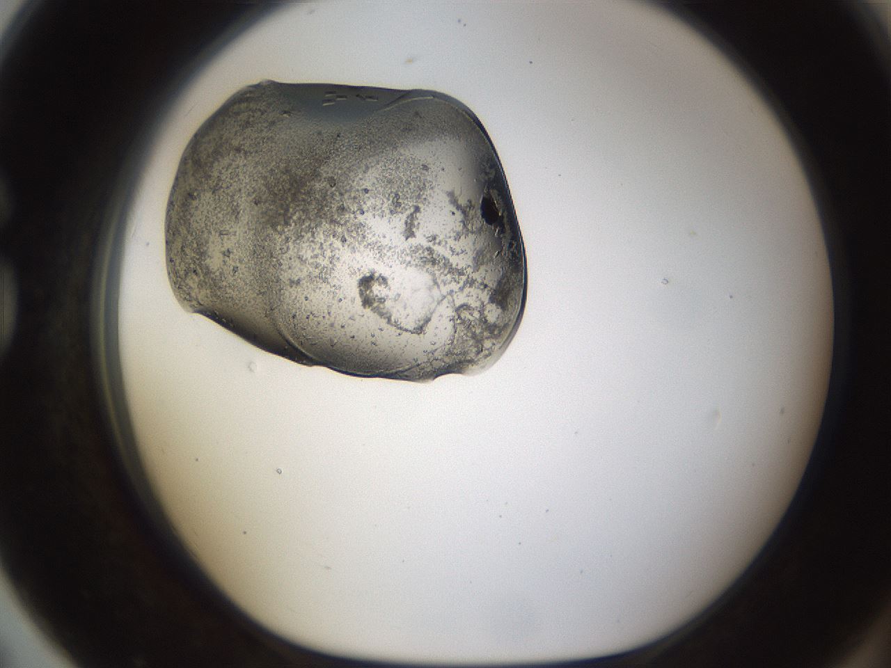 folderID367_plateID1367_batchID4732_wellNum79_profileID1_d1_r83116_ef.jpg
