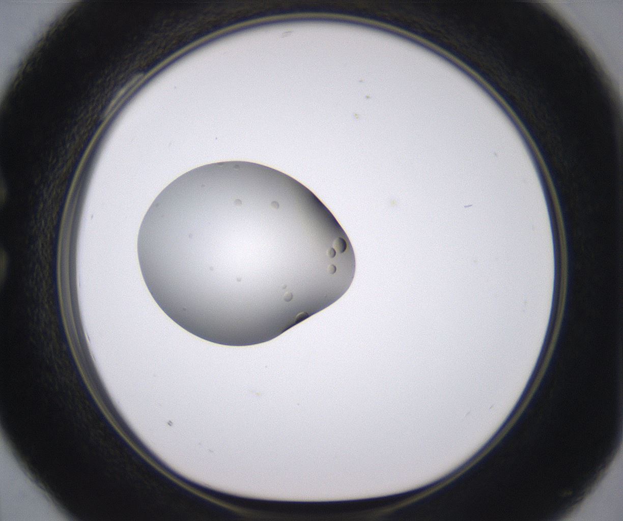 folderID378_plateID2378_batchID11226_wellNum28_profileID1_d1_r175582_ef.jpg